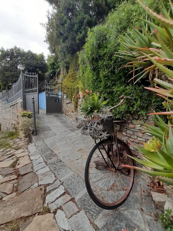Villa Ca dell'acciuga Cervo Esterno foto