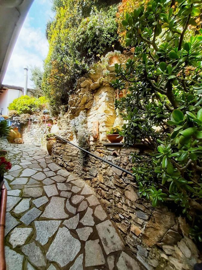 Villa Ca dell'acciuga Cervo Esterno foto
