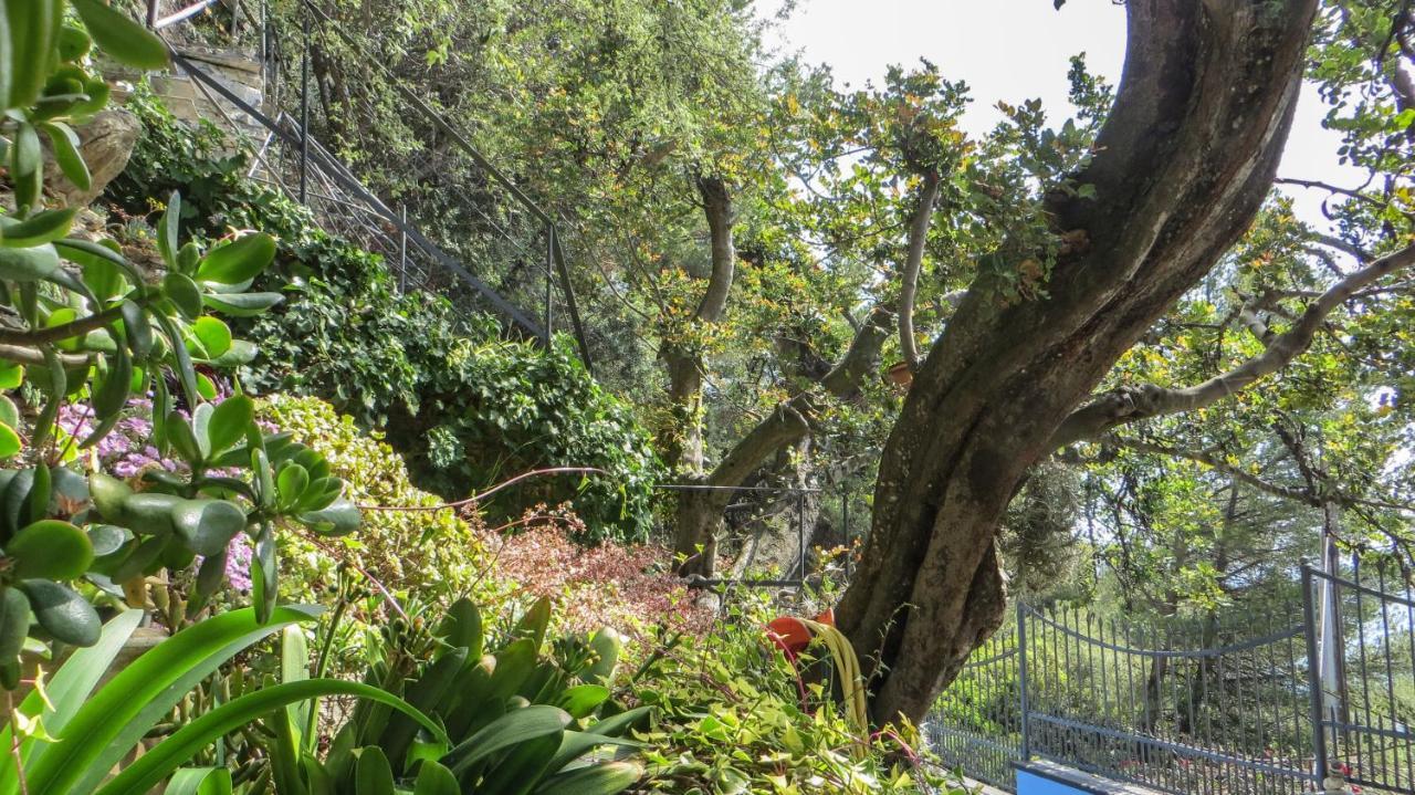 Villa Ca dell'acciuga Cervo Esterno foto