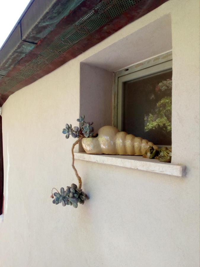 Villa Ca dell'acciuga Cervo Esterno foto